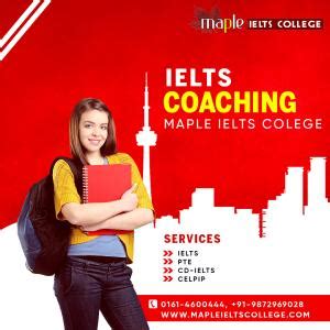 Maple IELTS college - Online shop - 56596 | Sheryna.in - India Online ...