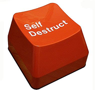 Image result for Cube Self-Destruct Button