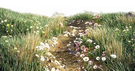 Image result for Forest Pack Pro