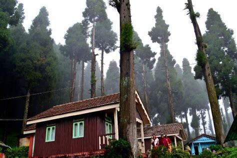 WBFDC LAVA NATURE RESORT (Kalimpong, West Bengal) - Hotel Reviews ...