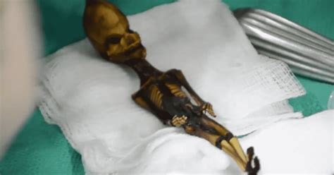 Image result for Alienigenas Del Cuerpo Completo