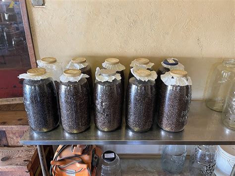 THE 15 BEST Restaurants in Mariposa, CA - With Menus, Reviews, Photos ...