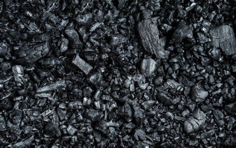 Tamil Nadu electricity minister alleges discrepancies in coal records