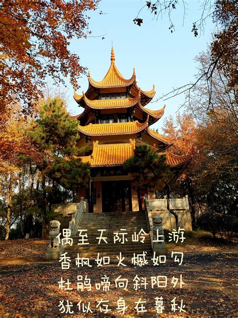 2020湖南省森林植物园-旅游攻略-门票-地址-问答-游记点评，长沙旅游旅游景点推荐-去哪儿攻略