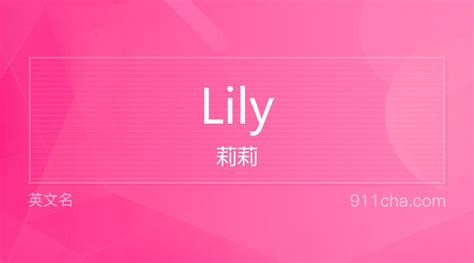 LILY-哔哩哔哩频道