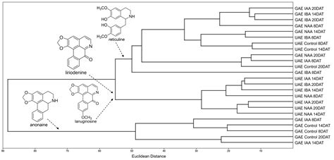Effect of Auxins on the Accumulation of Alkaloids in Ungrafted Annona ...