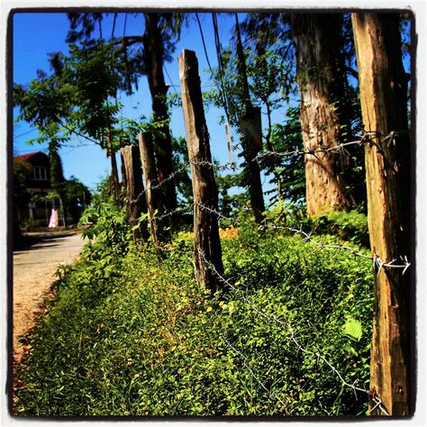 THE BEST Places to Visit in Kvariati (2025) - Must-See Attractions