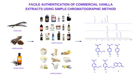 Image result for How to Analyse Extract