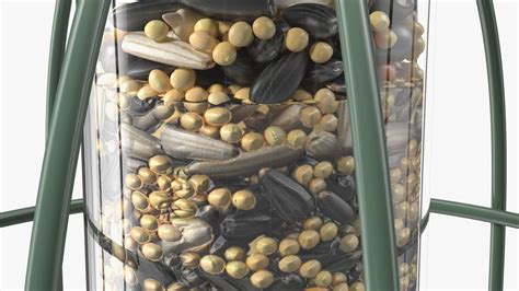 Caged Bird Feeder with Seeds 3D Model $39 - .obj .lxo .ma .max .fbx ...