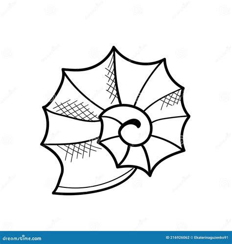 Image result for Sea Shell Line Drawing Blue Print