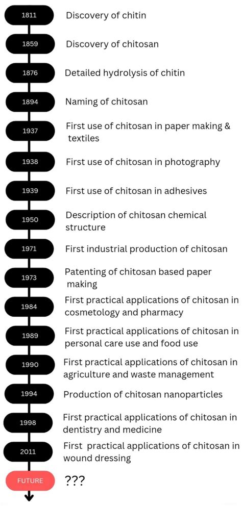 Recent Advances in Chitosan-Based Applications—A Review
