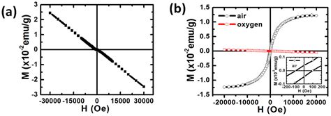 d° Ferromagnetism of Magnesium Oxide