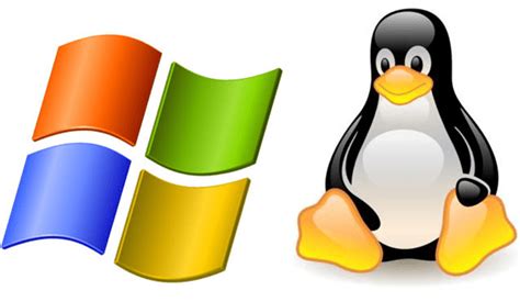 Image result for Data Windows Linux