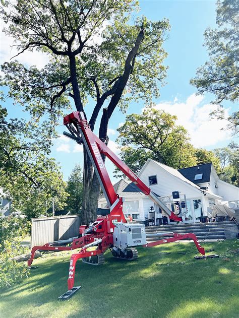 Image result for Telehandler Tree Care