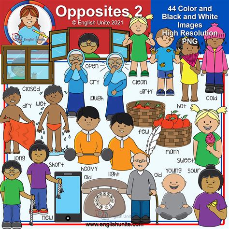 Clip Art - Antonyms/Opposites 2 | Made By Teachers