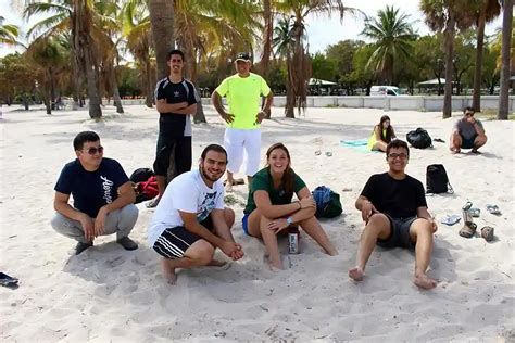 Image result for Study Program