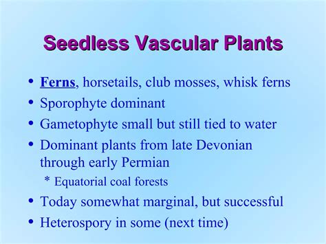 Seedless vascular plants | PPT