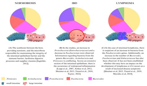 The Importance of Intestinal Microbiota and Dysbiosis in the Context of ...