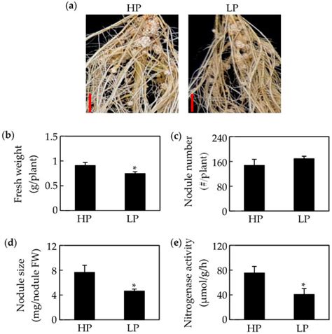 IJMS | Special Issue : Regulation of Mineral Nutrients Homeostasis and ...