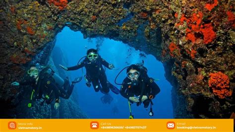 5 Best Spots For Scuba Diving In Vietnam