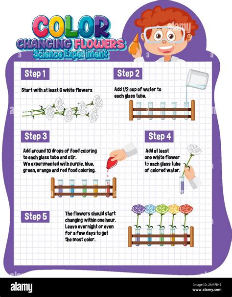 Image result for Color Changing Experiment