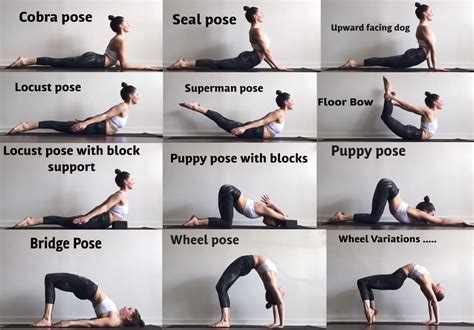Best Yoga Poses For Back Flexibility at William Noland blog