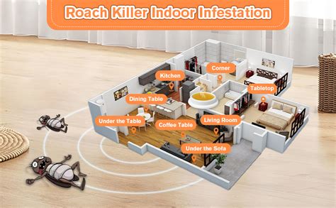 Cockroach Infestation Solutions 的图像结果