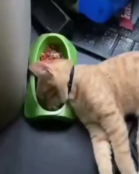 Image result for Week Week Meme