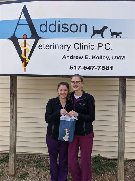 ADDISON VETERINARY CLINIC PC - Addison MI - Hours, Directions, Reviews ...