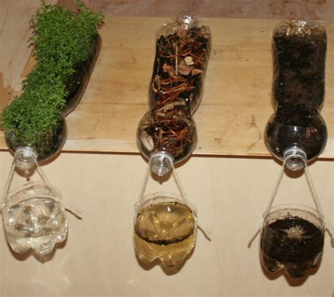 Image result for Environmental Science Experiments