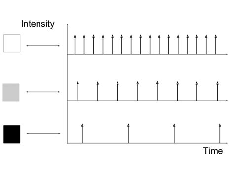 Image result for Rate Coding Sound Definition