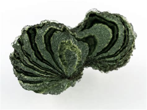 Weird Science Blob 的图像结果