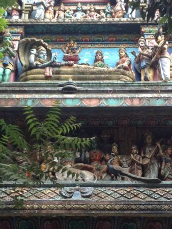 Matunga 的图像结果