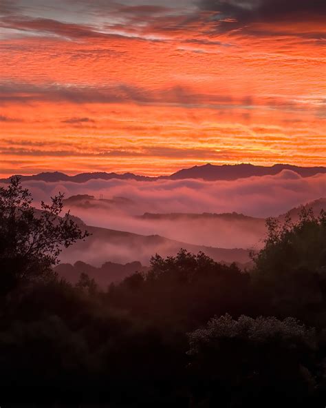 Sunrise from the Oakland Hills, CA. [OC][1220x1440] : r/EarthPorn