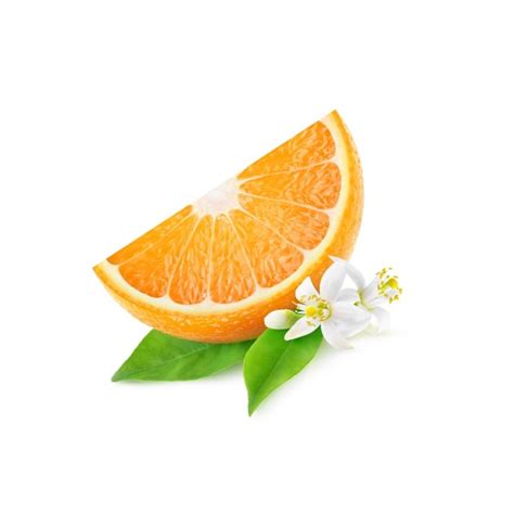 Moisturizing Face Cream - Cedarwood oil by Shat Pratishat