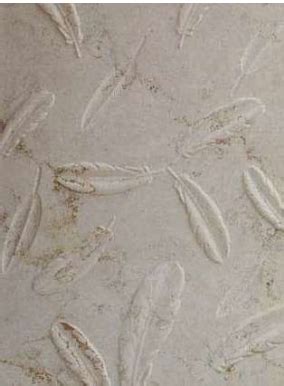 Feathered Etchings – MAMTA MARBLES