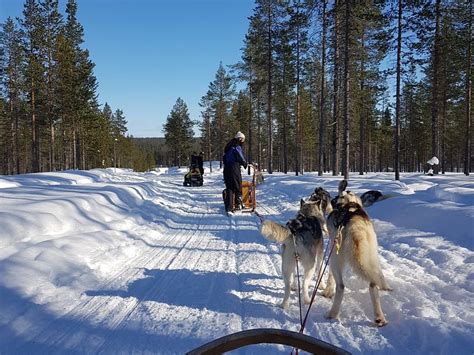 Ivalo Tourism (2023): Best of Ivalo, Finland - Tripadvisor