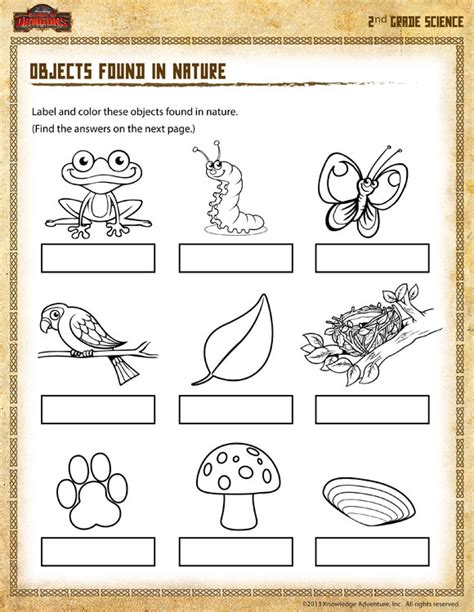 Image result for Free Printable Second Grade Science Worksheet
