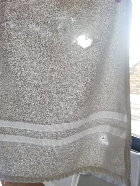 AFFORDABLE BY ALTIDO EDINBURGH (Scotland) - Guesthouse Reviews & Photos ...