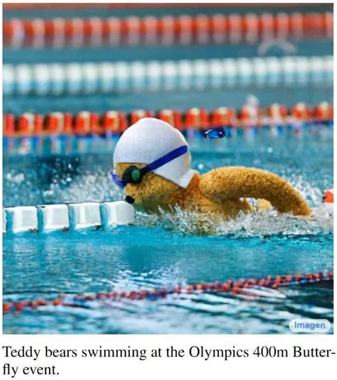 Open Ai Software 的图像结果