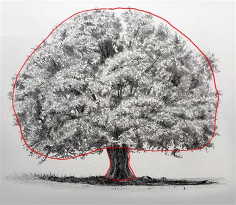 Tree Leaves Drawing at PaintingValley.com | Explore collection of Tree ...