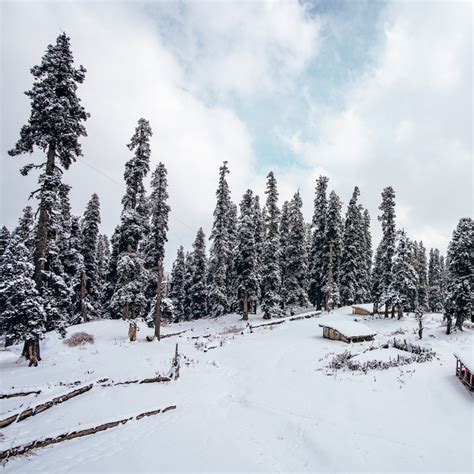 Trippy Trails - Let Our Travel Experts Plan Your Trip