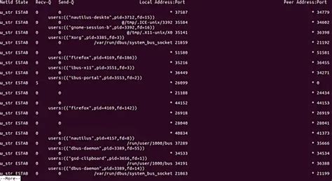 Image result for SS Executor Tutorial