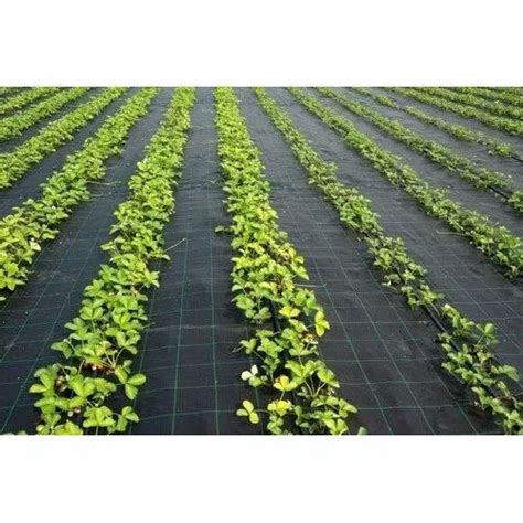 PP Ground Cover - PP Ground Cover Manufacturer from Nanjangud