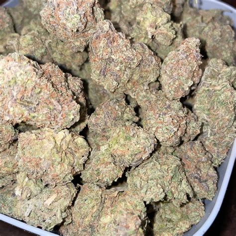 1 Year in and finally pulled my first Half Pound Plant with Atlas Seeds ...