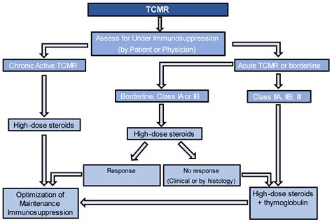 Current Therapies in Kidney Transplant Rejection