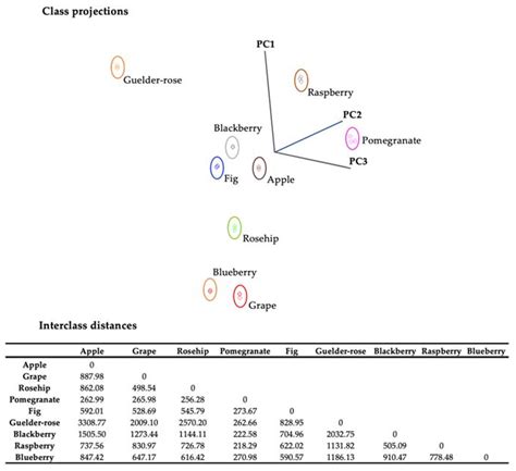 Characterization of Fruit Vinegars via Bioactive and Organic Acid ...