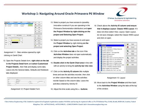 Image result for Oracle Primavera P6 Opening Window