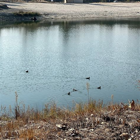 AVOCADO LAKE PARK: Tutto quello che c'è da sapere (2025)