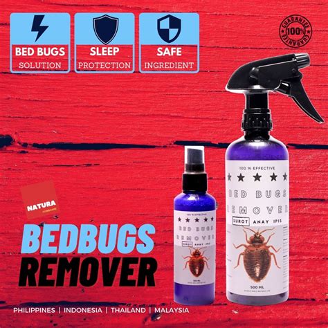 Best Bed Bug Spray Singapore at Joel Sherwin blog